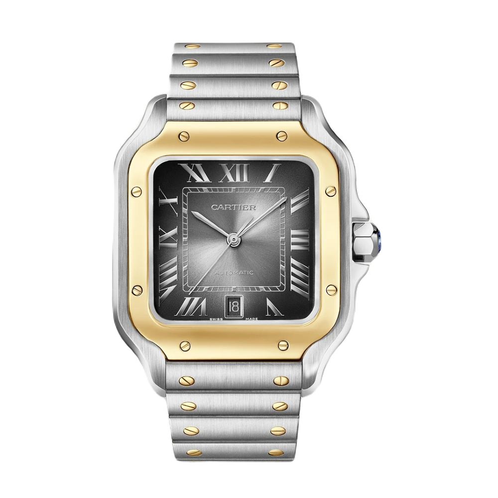 CARTIER SANTOS DE W2SA0030 Large watch